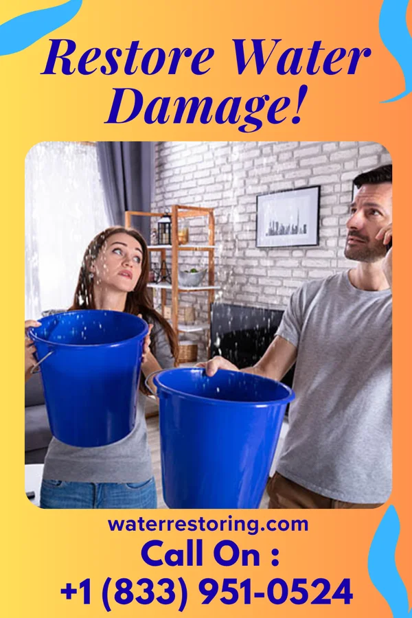 water restoration Premier Mitigation Specialists Thomson