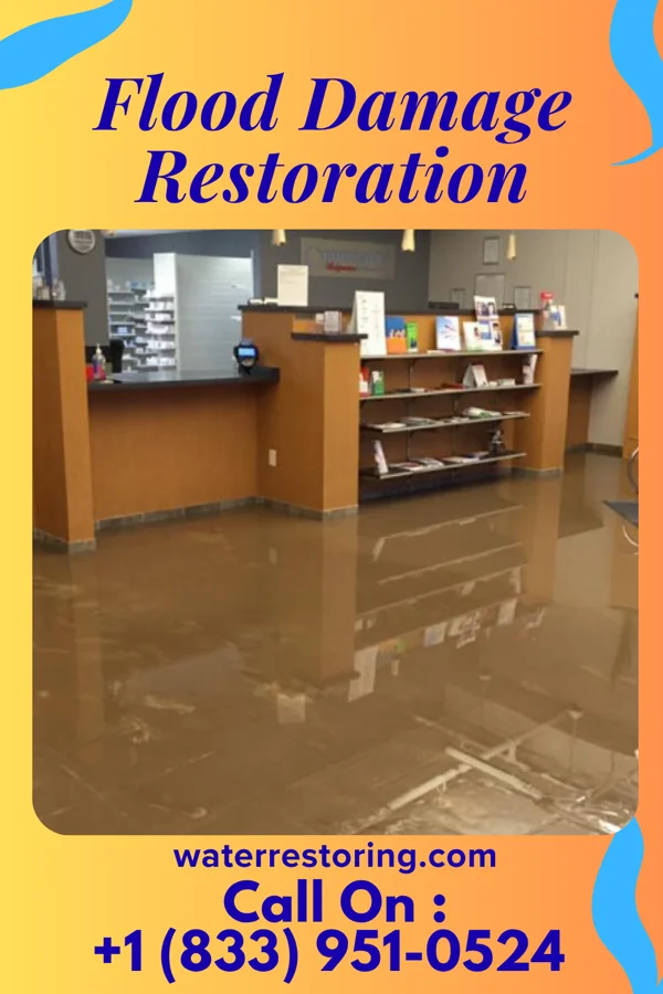 Flood Damage Restoration in Thomson, GA